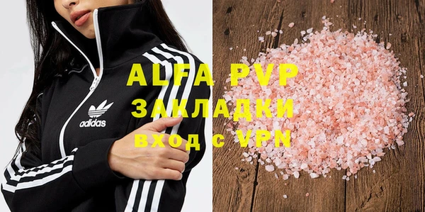 прущие грибы Балахна