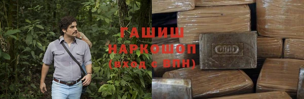 прущие грибы Балахна