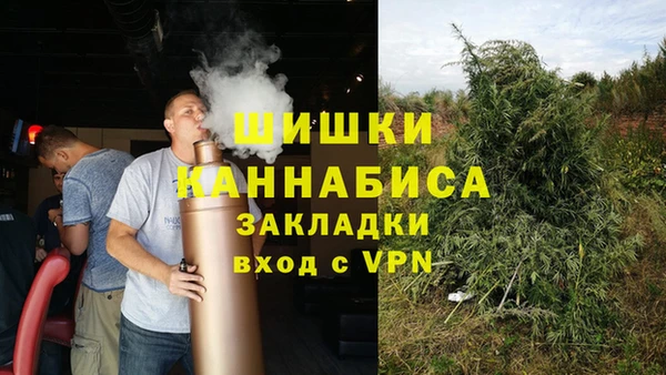 прущие грибы Балахна