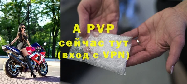 прущий лед Пересвет