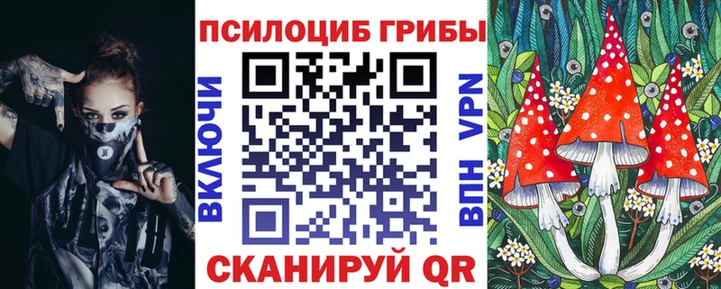где найти   Рудня  Галлюциногенные грибы прущие грибы 
